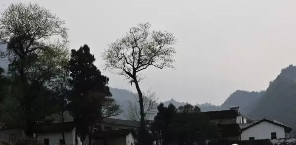 神仙崖村人口_神仙头像女动漫(2)