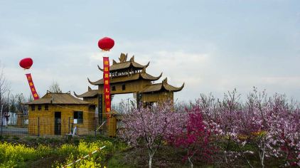 三十岗桃蹊农场