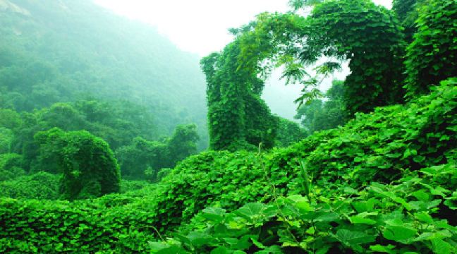 ����ɽ (4).jpg