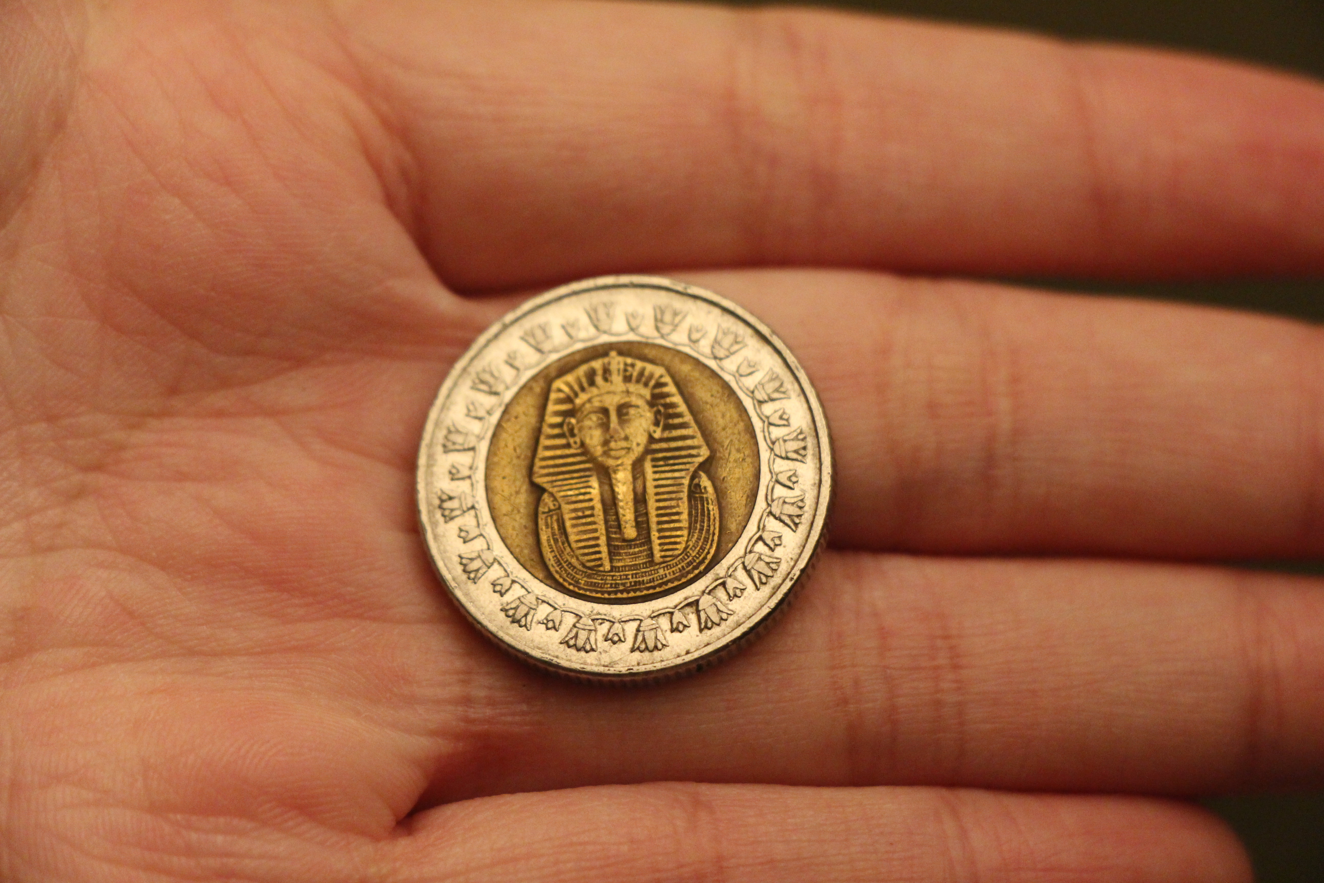 2015年4月埃及迪拜12天之旅