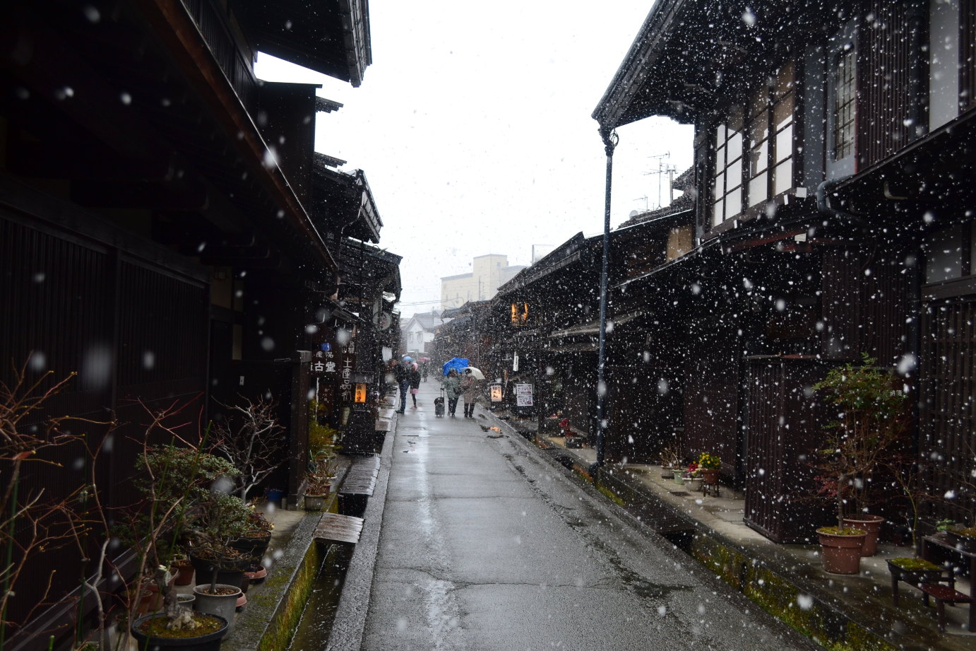 乔豆豆初游日本