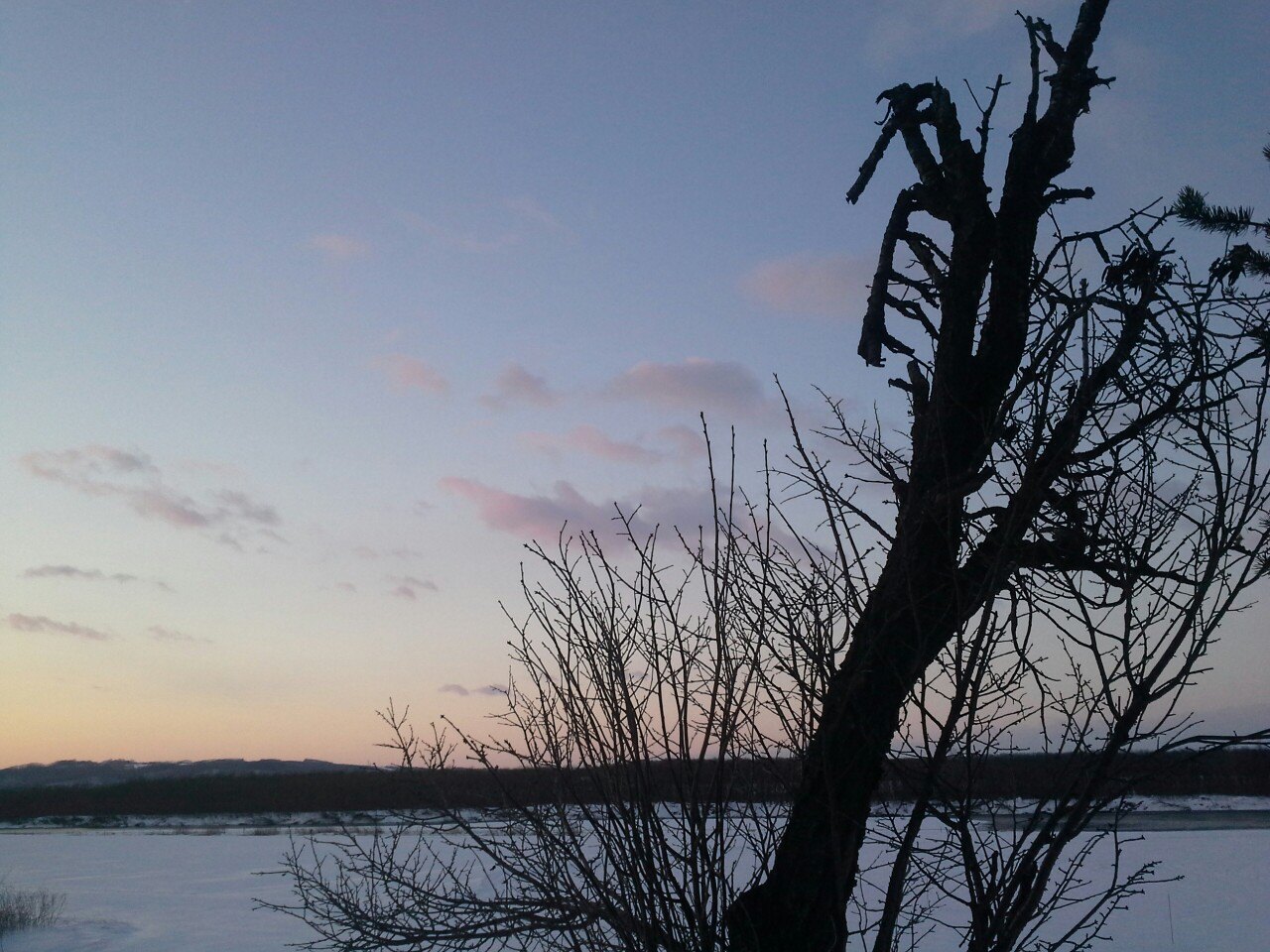 美汤胜胜景十胜川~北海道自由行游记之三