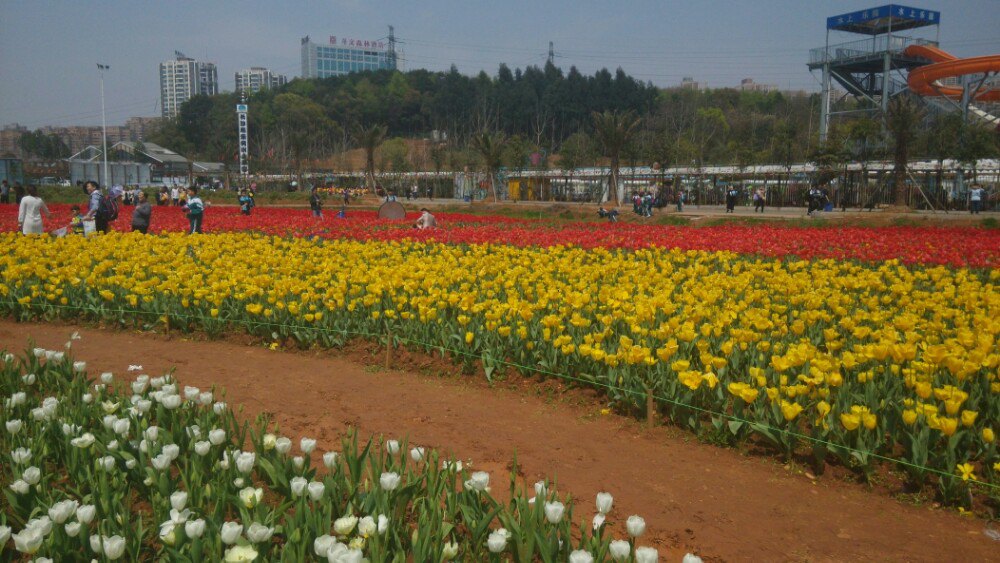 湖南省森林植物園,長沙湖南省森林植物園攻略/地址/圖片/門票【攜程