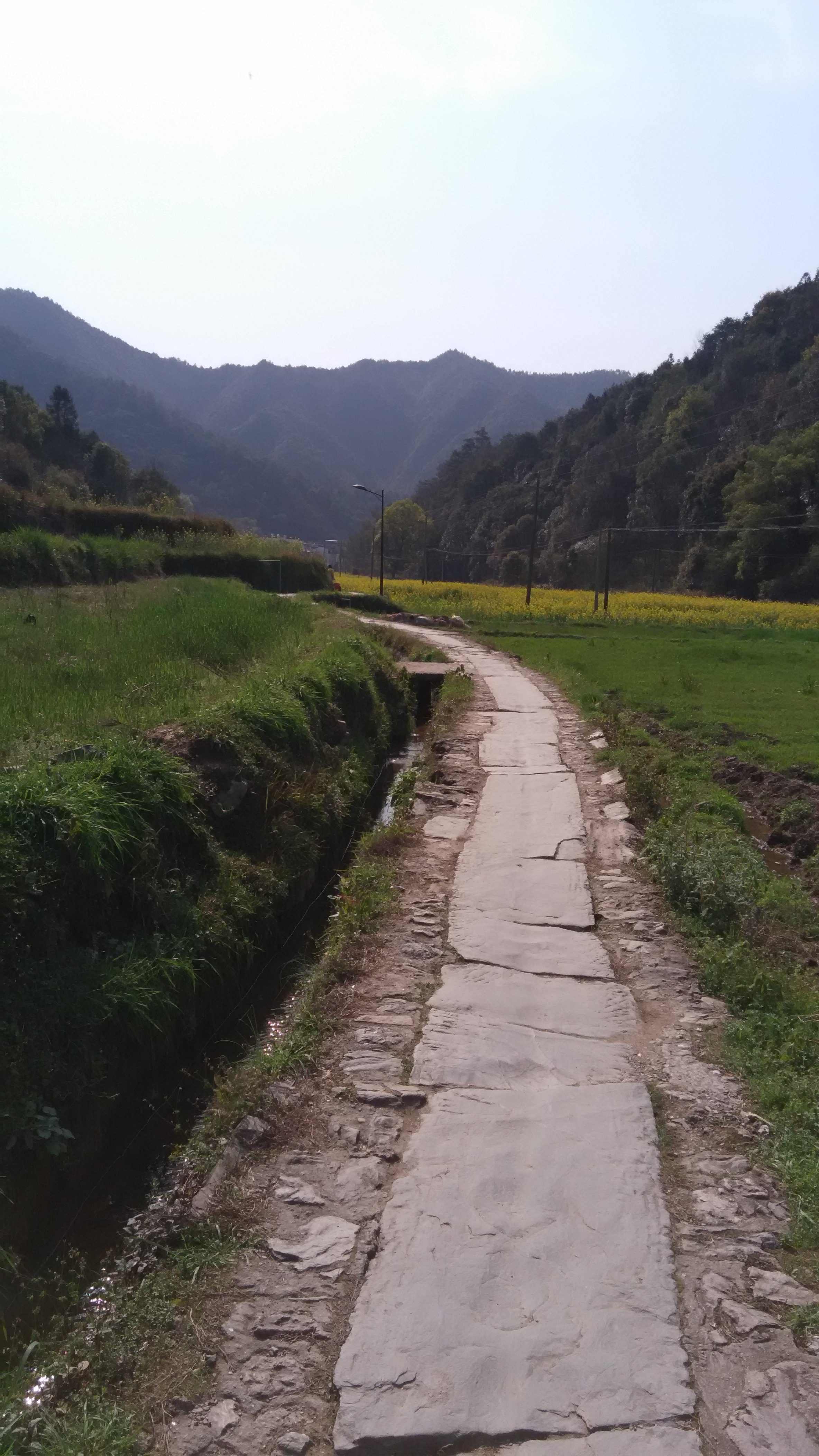 乡间小路 上下晓起