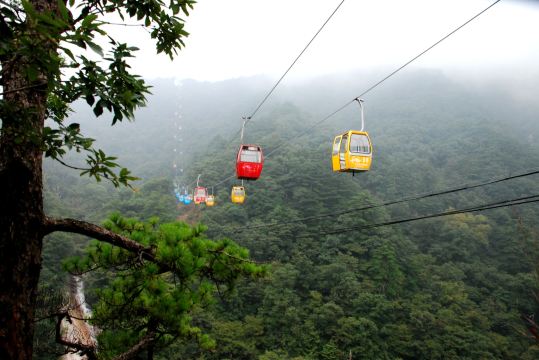 山花娇媚天堂寨
