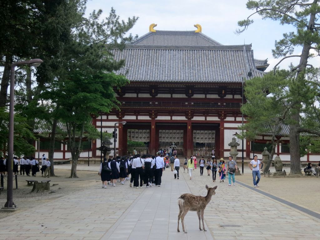 被稱為世界遺產的東大寺正門——南大門,寬約50米,高約25米.