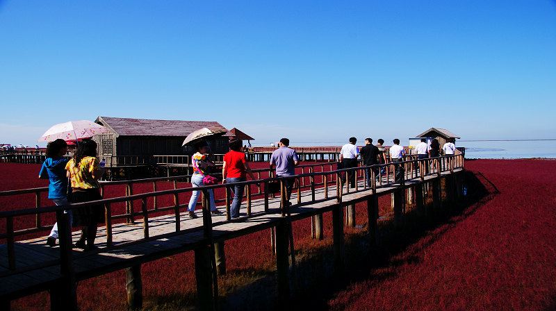 盤錦紅海灘,最全的旅行記錄