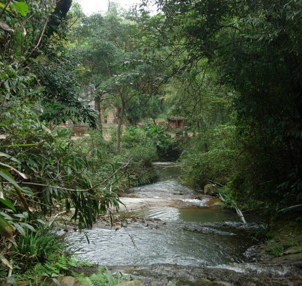 十一國慶出遊避人堆,遂川白水仙景區自駕一日輕鬆遊