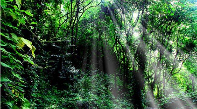 ����ɽ (2).jpg