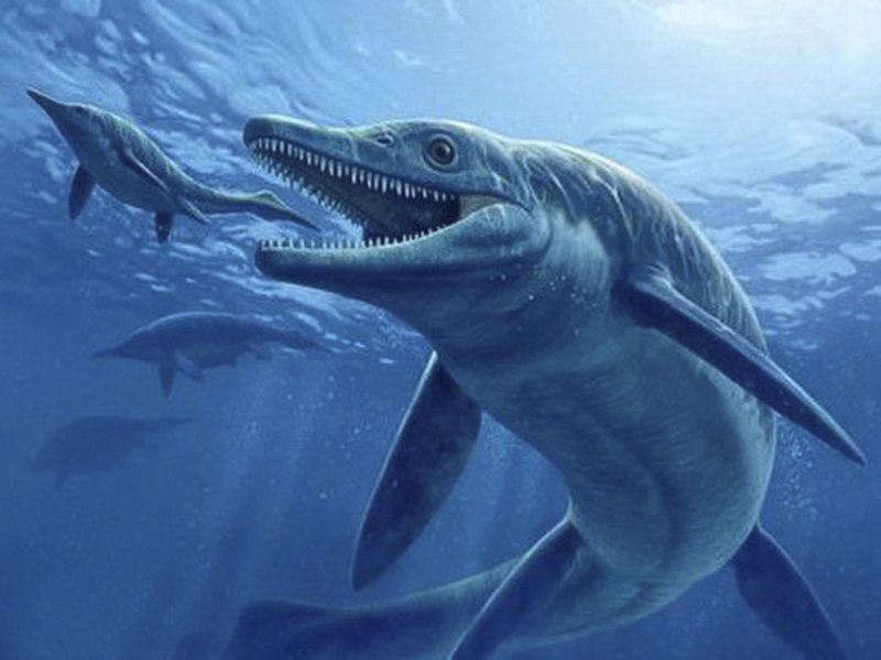 国内首次民间水怪拍摄计划 #水怪养成日记# (持续更新)