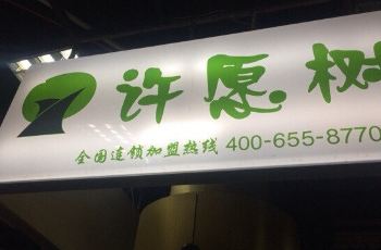 许愿树奶茶店
