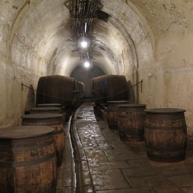 这个酒窖是古代在岩石中开凿的地下工事,距离地面17米深,长达9公里