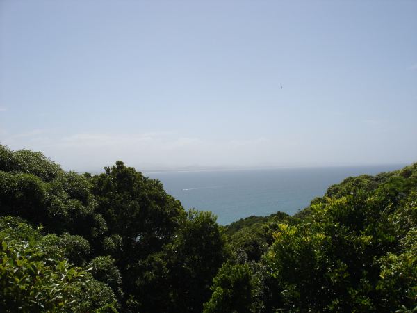 铁军游记:马来行(5 中国山