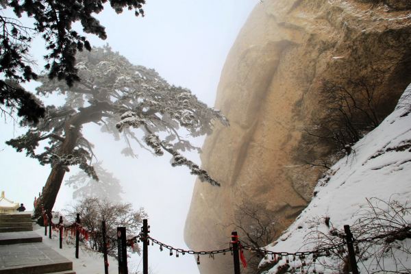 尺幢→百尺峽→擦耳石→天梯→御道(蒼龍嶺)→金鎖關→五雲峰→迎陽洞