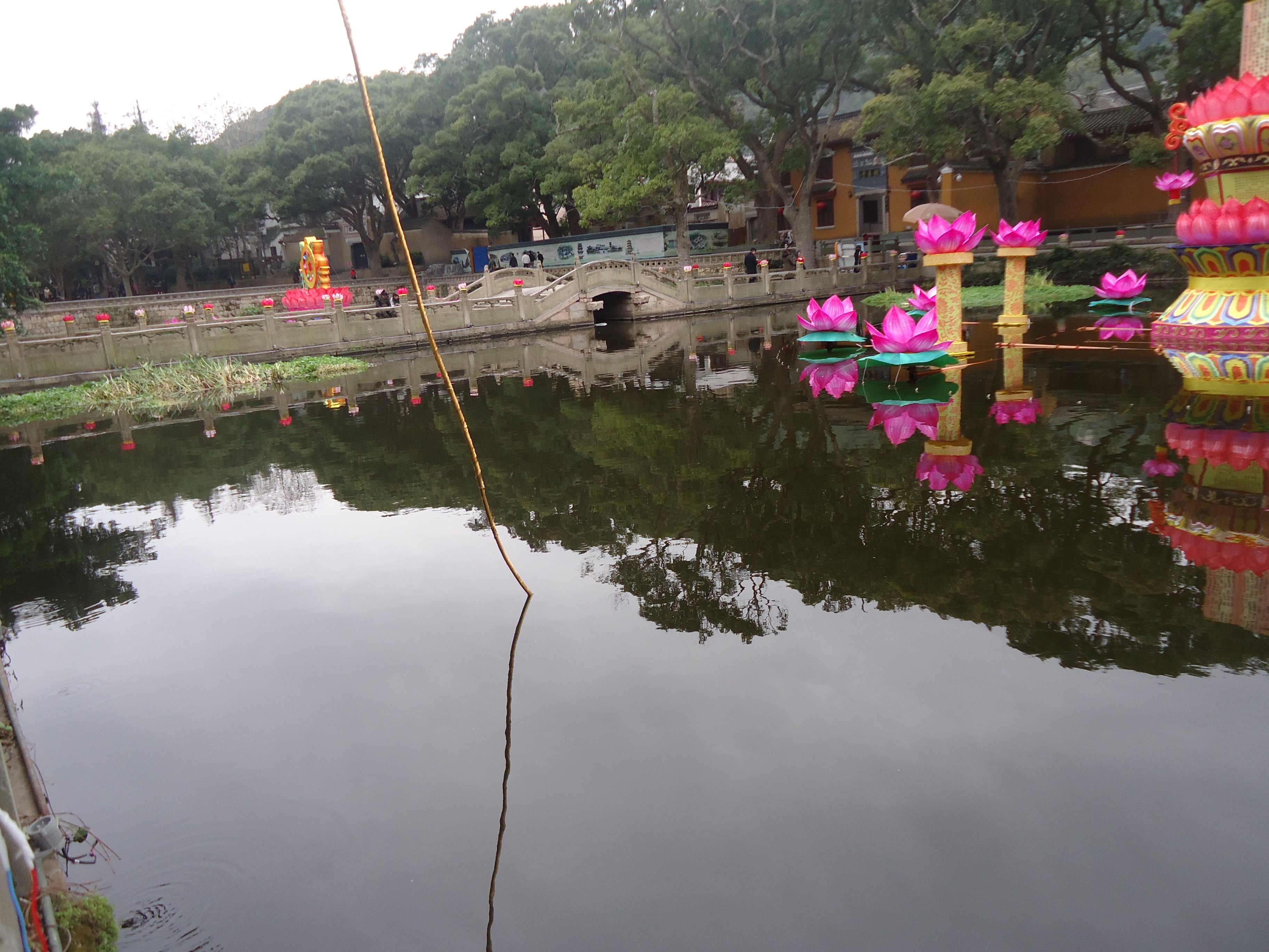 普陀山海印池位於普陀山第一大禪寺普濟寺的門口,又叫做蓮花池,放生池