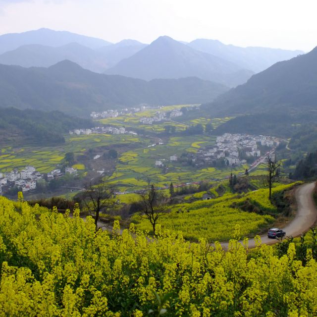 南方游记《江西婺源》