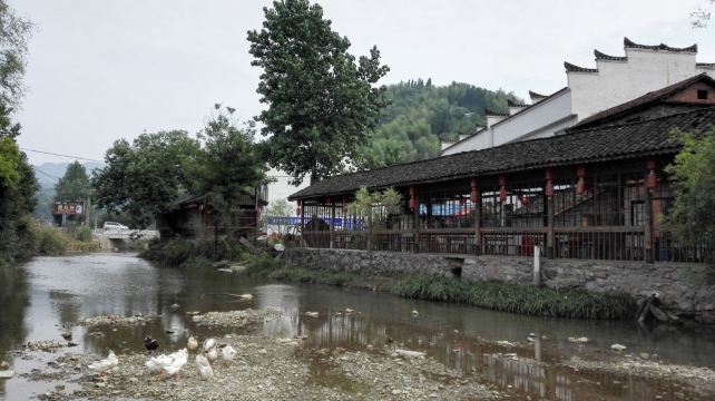 湖北咸宁刘家桥给我的惊喜【上】 - 苦寒书斋 - 墨君-新绿的家