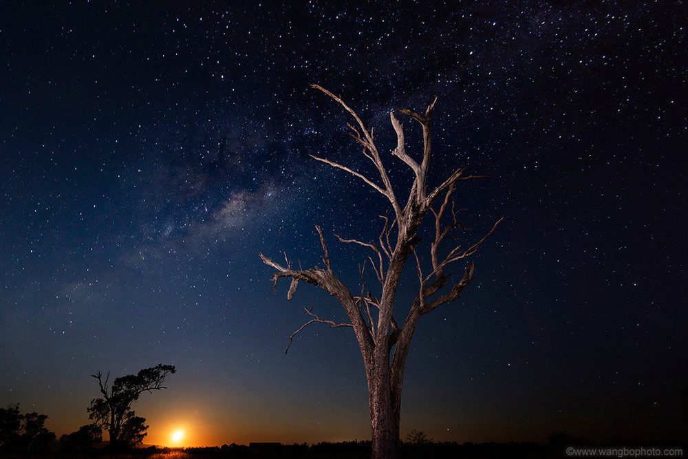 探索世界上最纯净的星空 夜访atca澳大利亚望远镜阵列 纳拉布里游记攻略 携程攻略