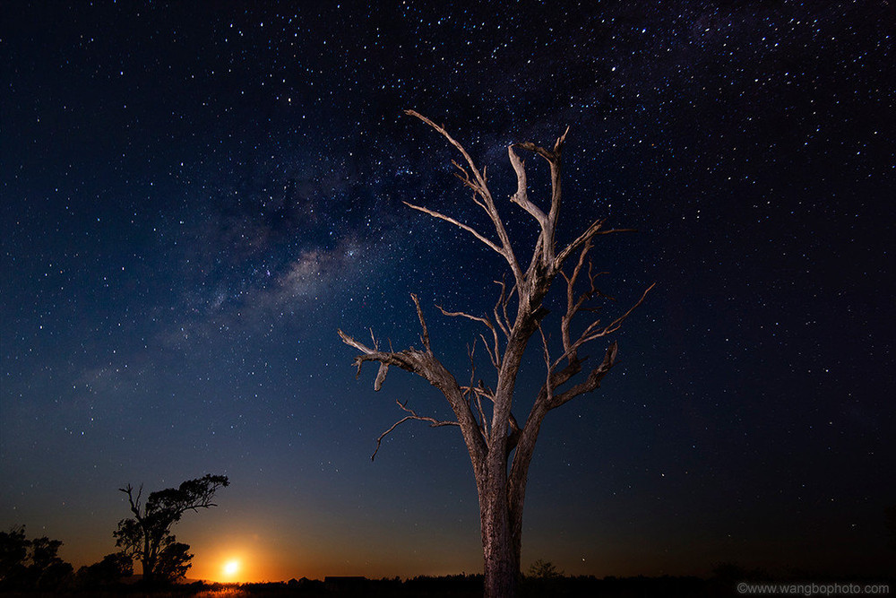 探索世界上最纯净的星空 夜访atca澳大利亚望远镜阵列 纳拉布里游记攻略 携程攻略 探索世界上最纯净的星空 夜访atca澳大利亚望远镜阵列 纳拉布里游记攻略 携程攻略