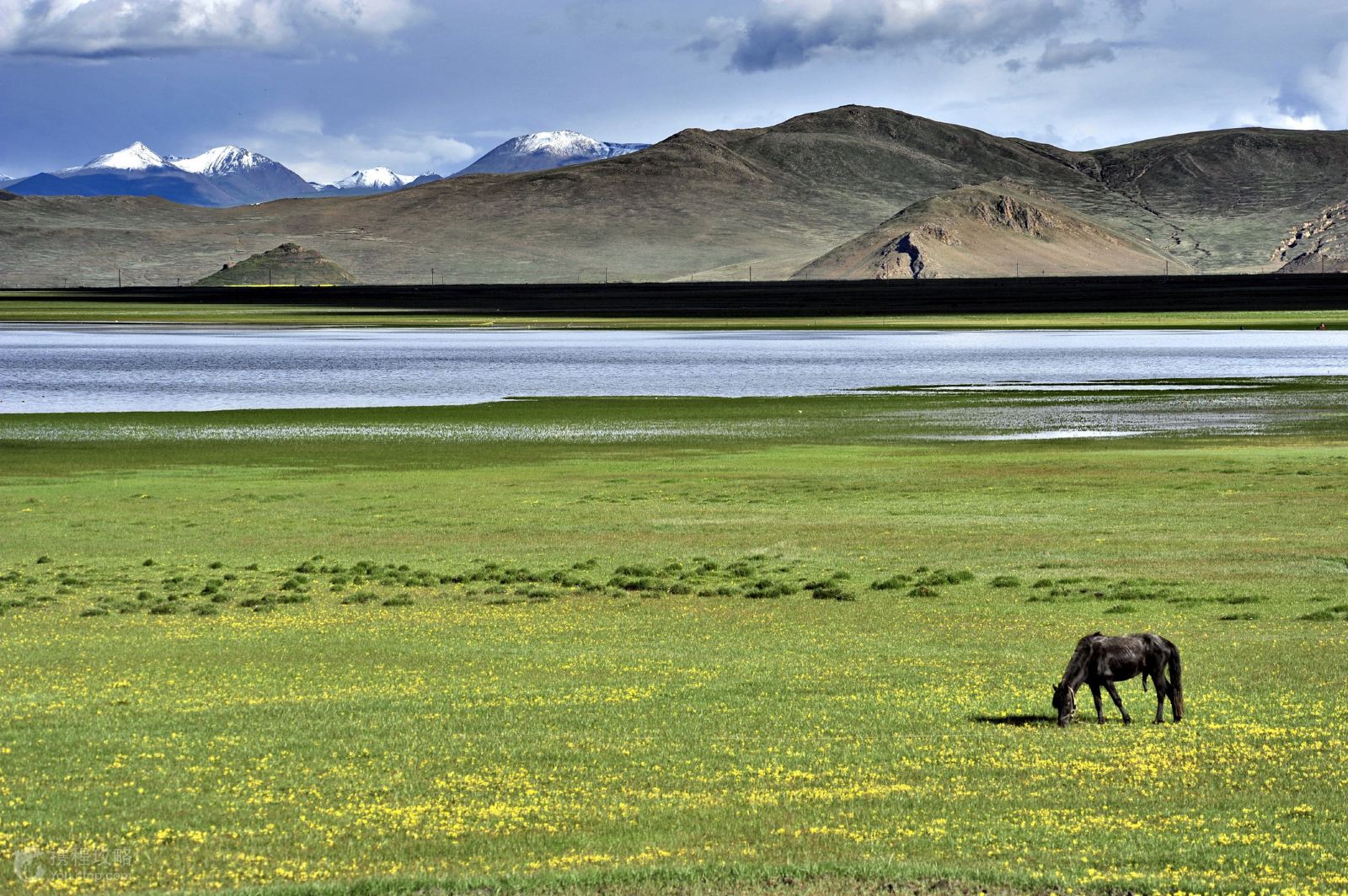 西藏天路 CghzgVWxCKmAZcgiADFQDKqCzDA900_R_1600_10000_Mtg_7.jpg