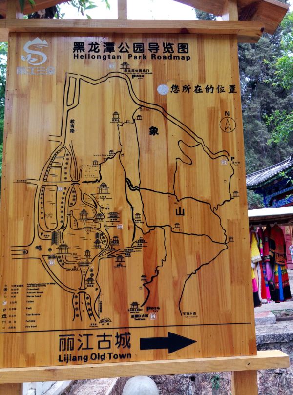 玉湖里面很多三文鱼 黑龙潭公园 玉龙雪山回来后,坐车到黑龙潭景区,不