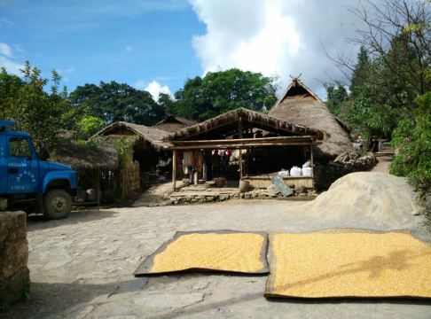 翁丁佤族原始群居村落