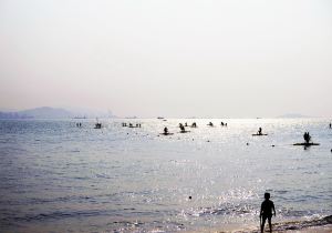 厦门旅游景点排行榜前十名