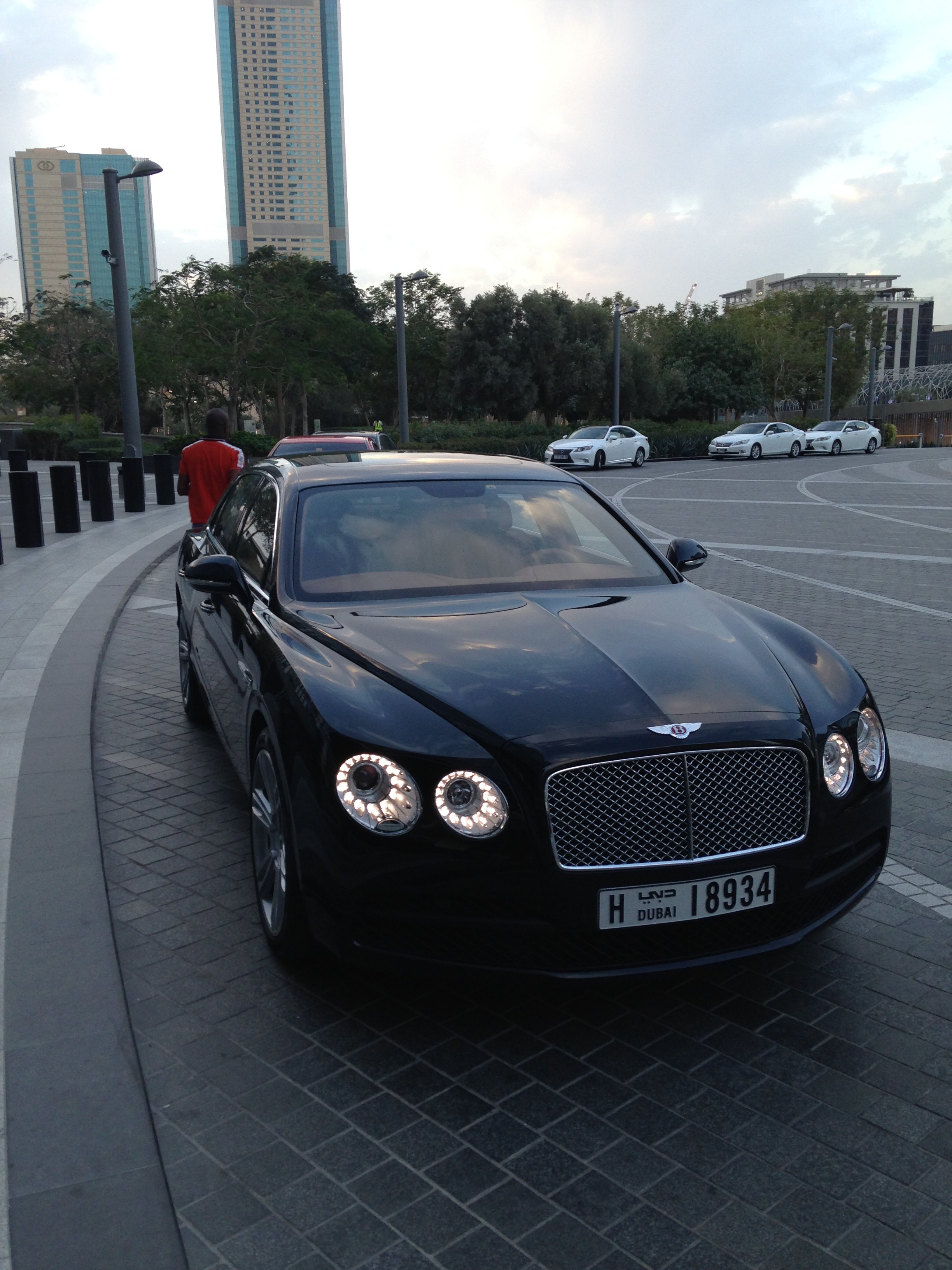 假装土豪过新年,羊羊得意游迪拜