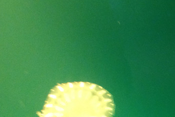 金鹰海底世界 - 常州游记攻略【携程攻略】