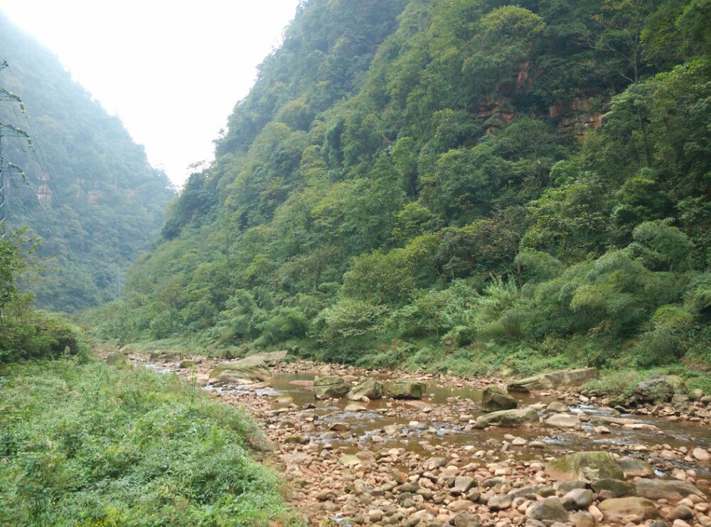 长嵌沟