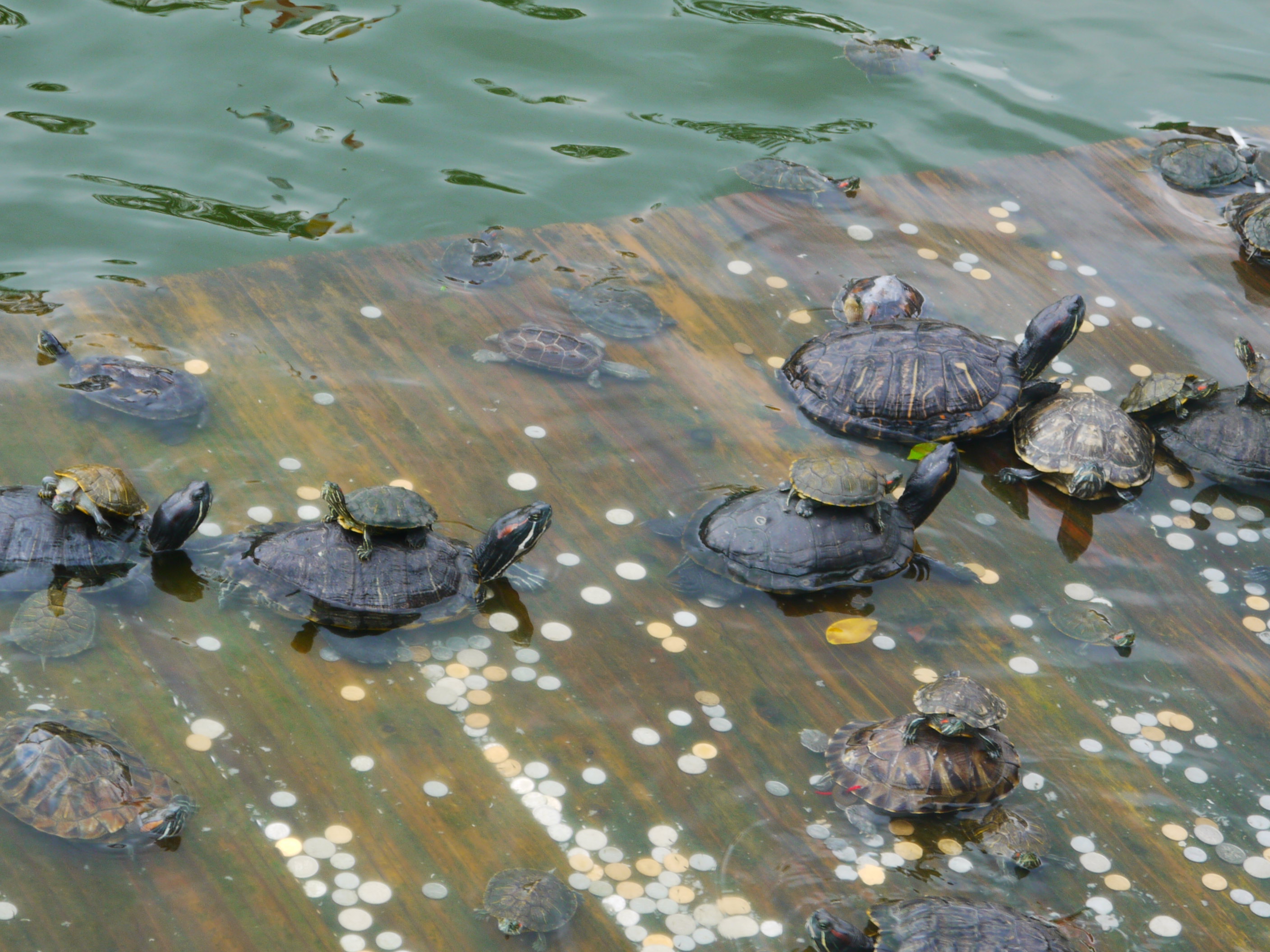 【厦一次】厦门逛吃三日游