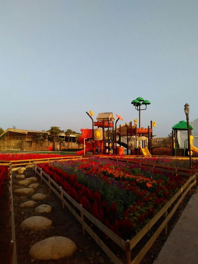 上海郊区鹤丰度假村、沈湖生态农庄度中秋