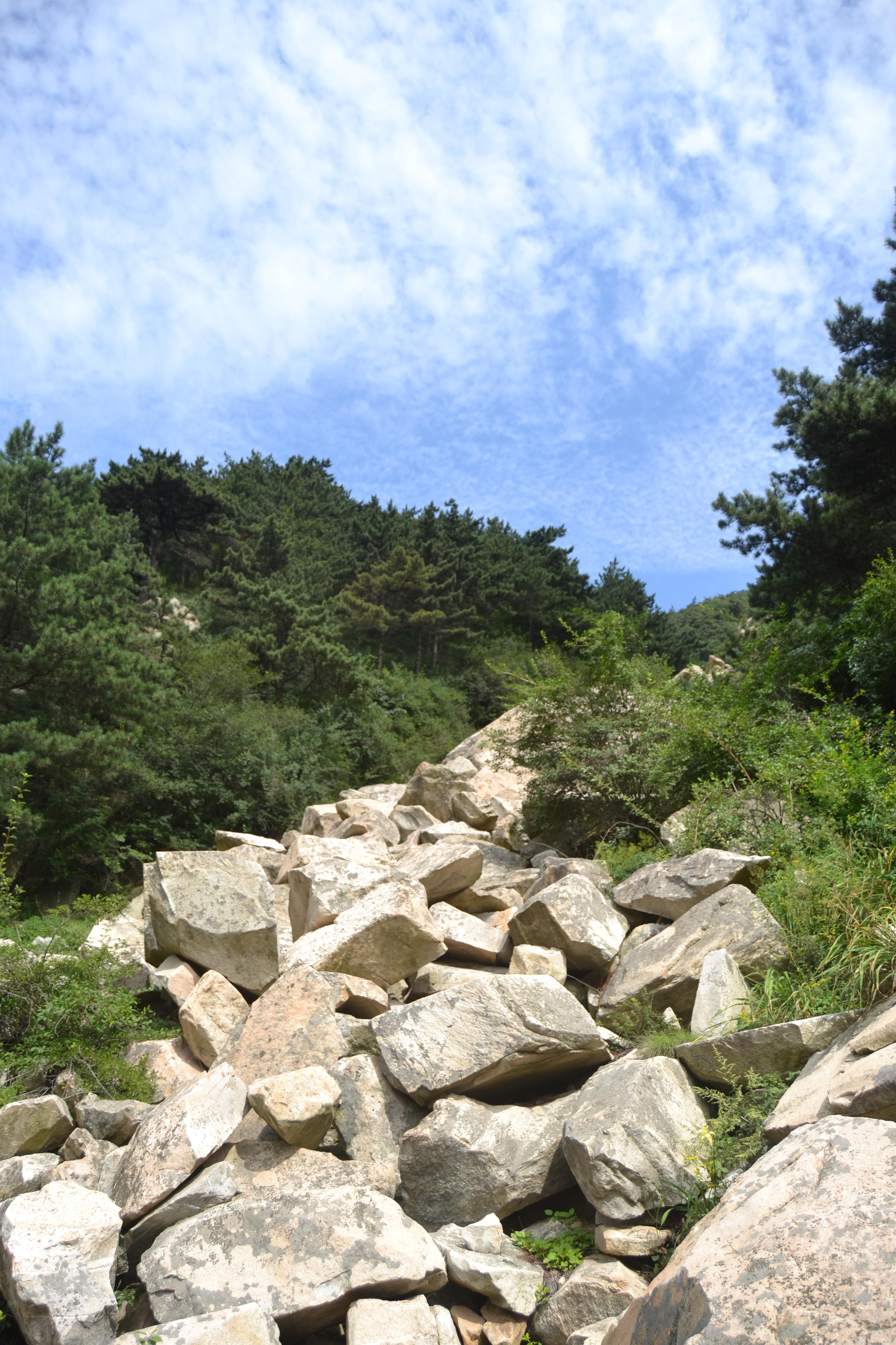 选择了从森林覆盖率超高的后山下,看地图比前山近,但是强度绝对超越前