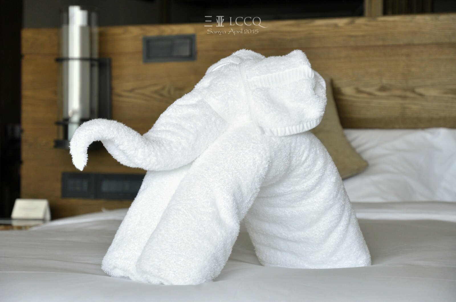 毛巾造型叠法大全大象图片