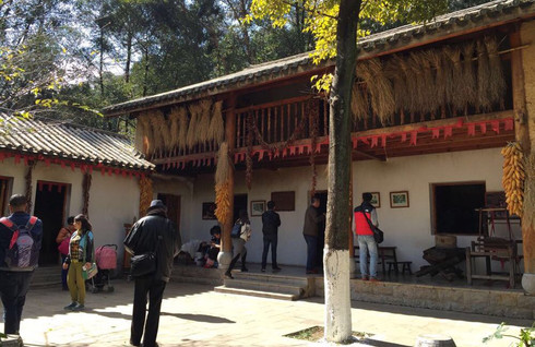 春城昆明1日遊 --- 滇池,花市美麗無比