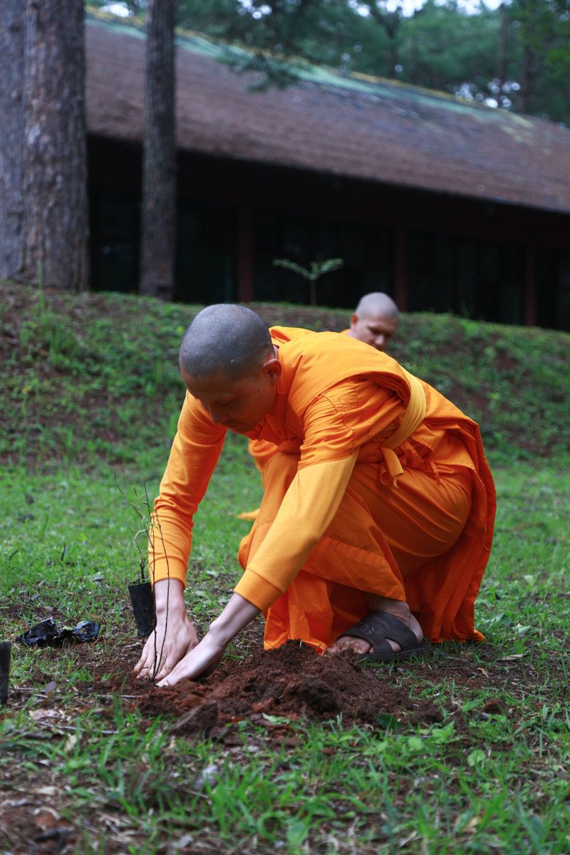 我在泰國當比丘(下篇:出家法身寺)