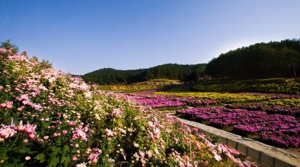 【黃岡】五腦山森林公園門票成人票