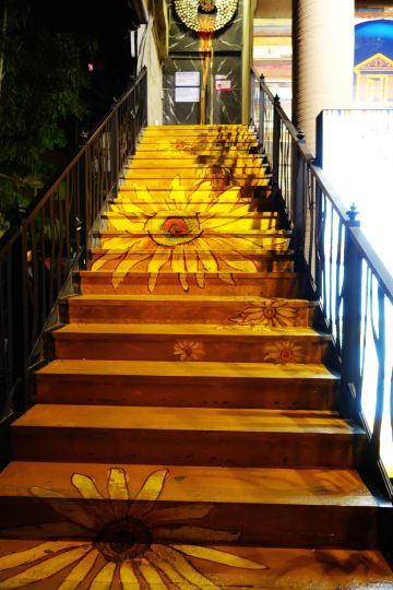 楼梯间的火红玫瑰,也是不要太美啊 被各种签名画满的感觉杂乱脏的墙壁