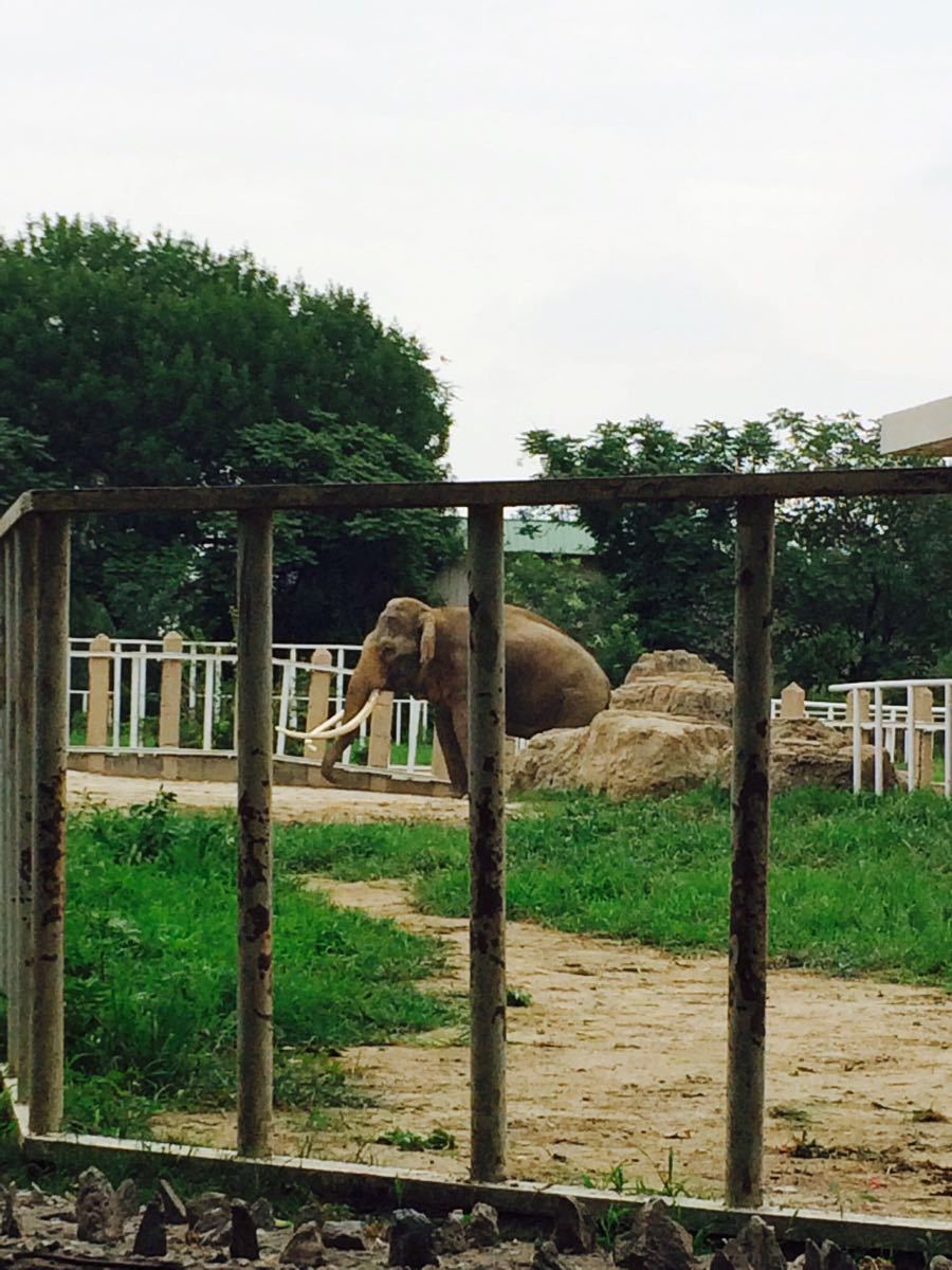 天津動物園