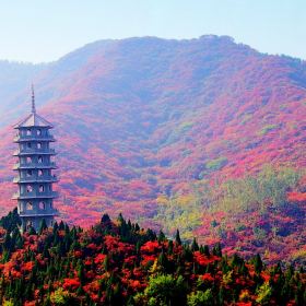 自驾游新潮流：周边探索之旅