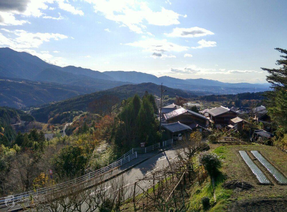 箱根 東京7日6晚跟團遊(4鑽)·暑期 東京一天free 北路秘境江戶古道