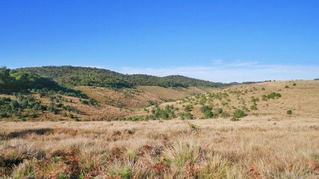 霍顿平原国家公园(世界尽头)