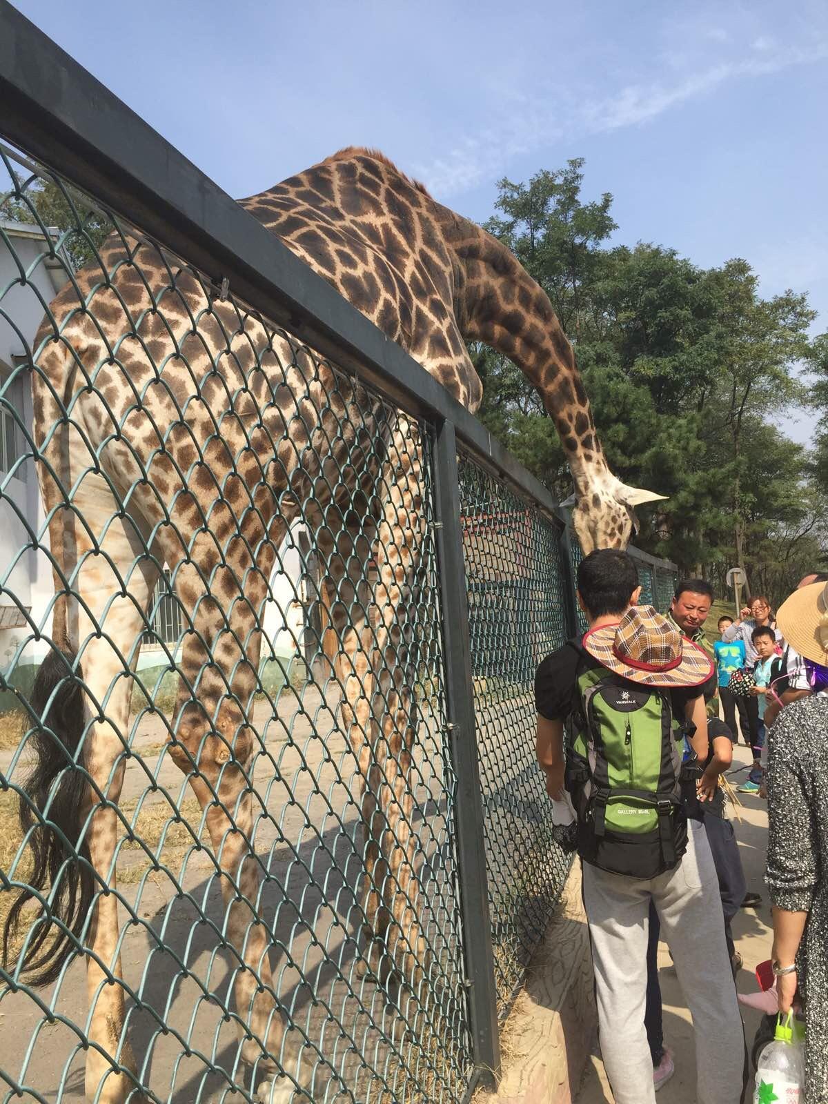 濟南野生動物園