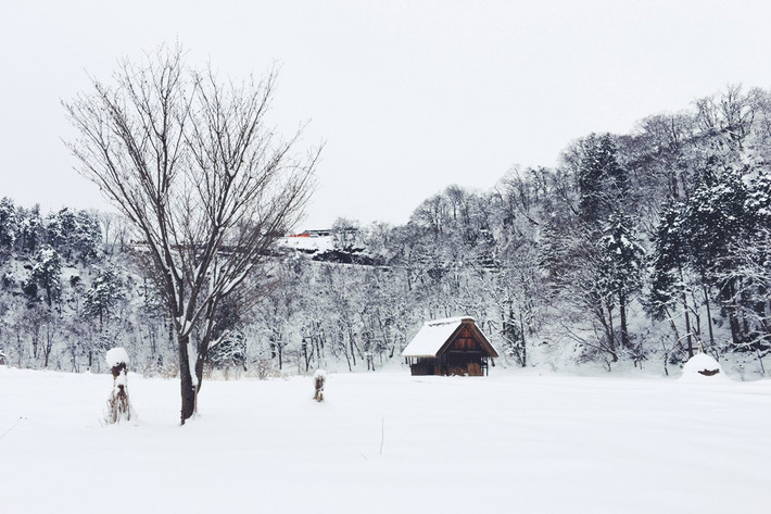 昨晚梦见下雪,是吉兆还是暗示?解析梦境中的雪与情感交织 昨晚梦见下雪,是吉兆还是暗示?解析梦境中的雪与情感交织