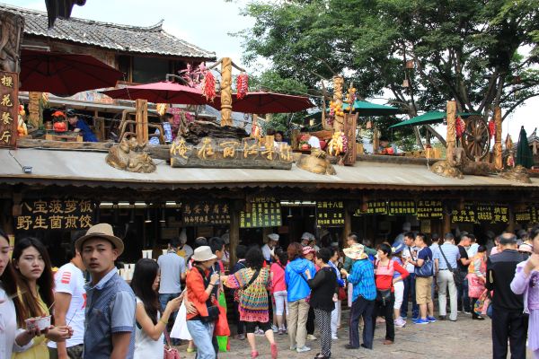 2014年北京至麗江,瀘沽湖,香格里拉,大理十三天自由行