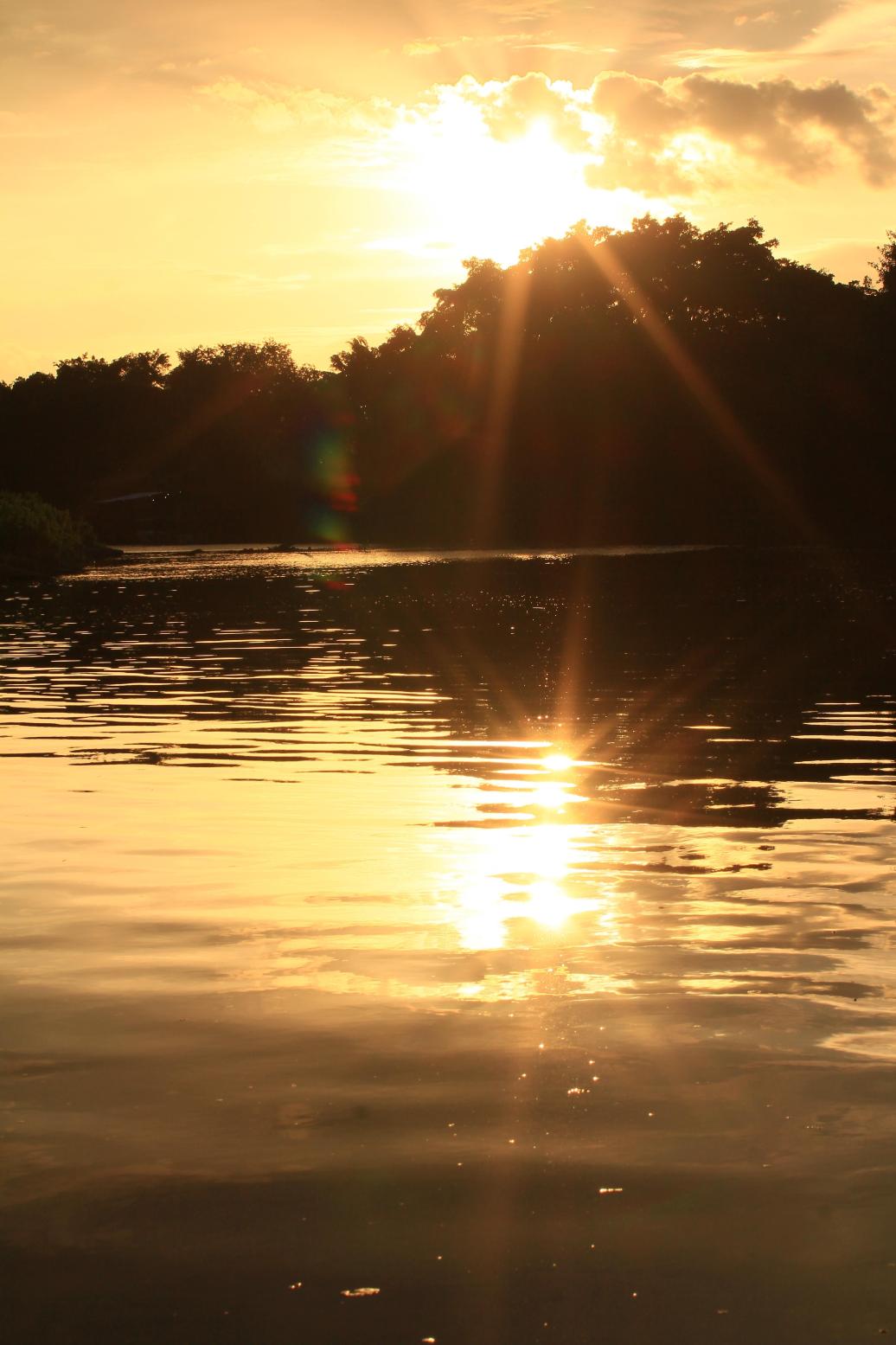 水中有了太阳的倒影 马来西亚亚庇红树林
