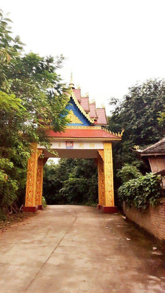 骚哆哩在金版纳