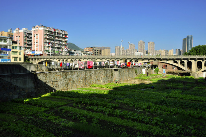 朱熹誕生地,福建尤溪園林萌萌美