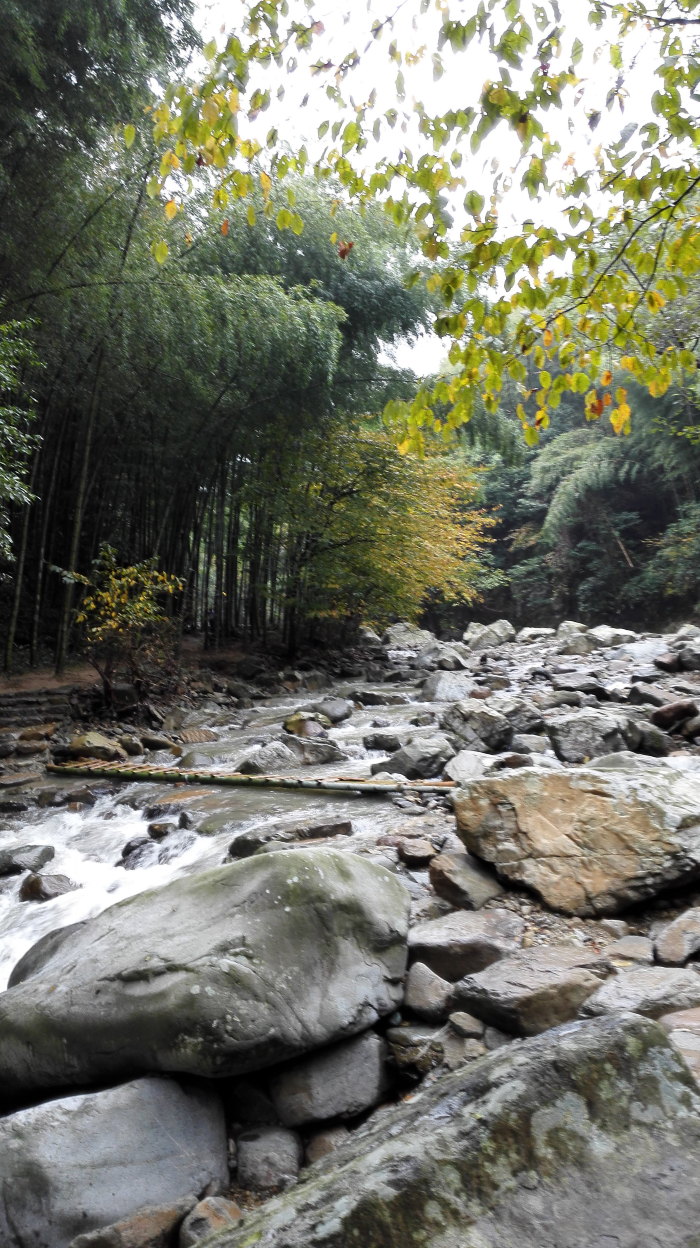 雨后芝林若仙境 - 余姚游记攻略【携程攻略】