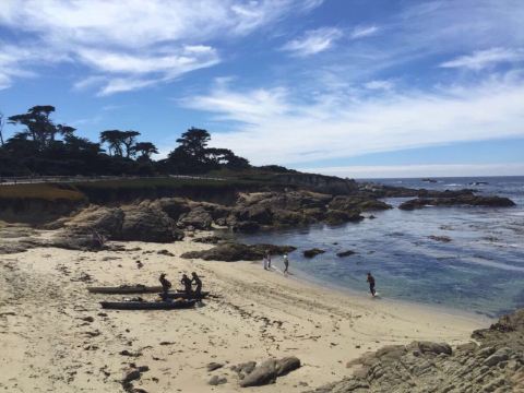 十七英里(17 mile drive)